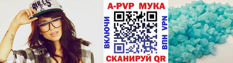 Альфа ПВП СК КРИС Кондопога