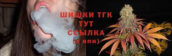 соль ск Богородицк