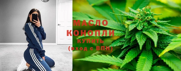 соль ск Богородицк