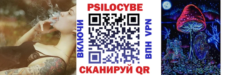где найти   Кондопога  Галлюциногенные грибы Psilocybine cubensis 